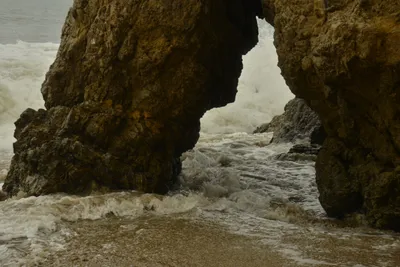 DSC_6550 (Large).JPG